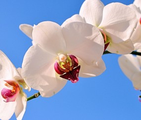 永川正规助孕捐卵机构，附正规捐卵机构报名表！